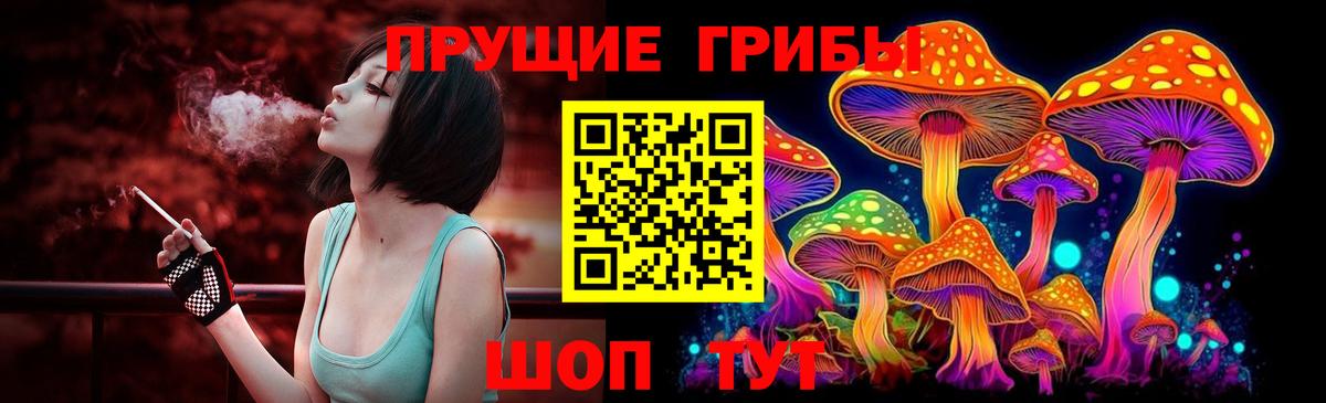 Псилоцибиновые грибы ЛСД Анжеро-Судженск